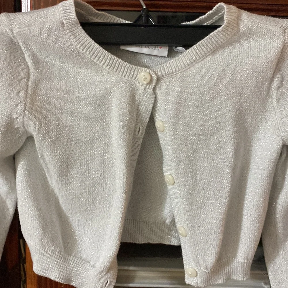 The Children’s Place Toddler Silver Sweater Size 4